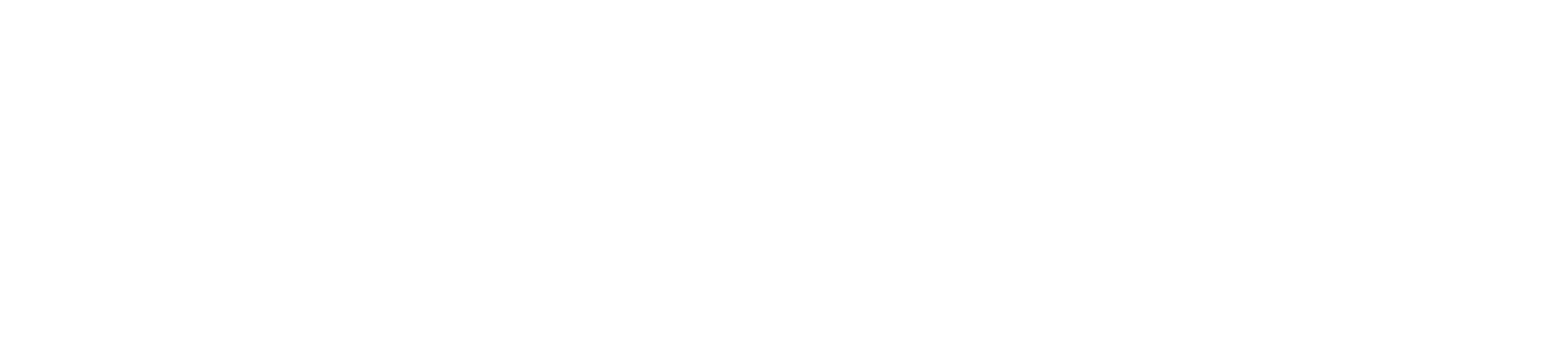 Neotorrino